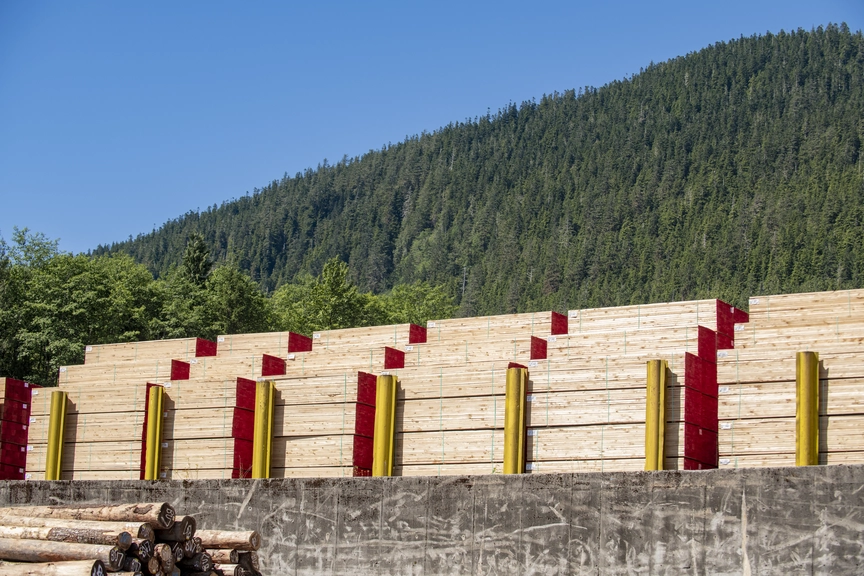 Foresterie de Prince Rupert, bois massif